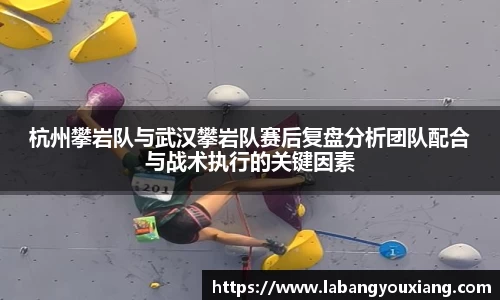 3377体育