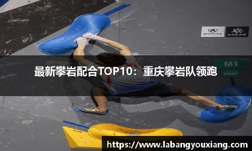 3377体育官网